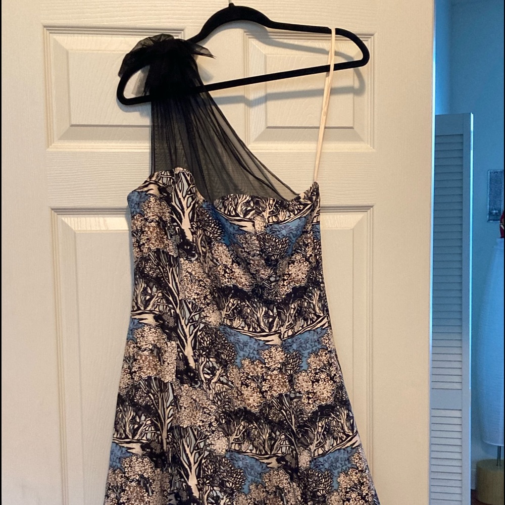 Petticoat Style dress/one shoulder holder
